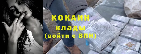 спиды Алзамай