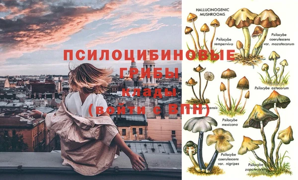 мескалин Алексеевка
