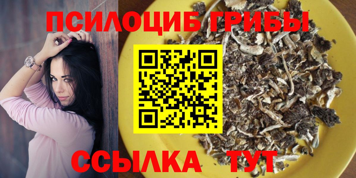 Галлюциногенные грибы Psilocybine cubensis Красногорск