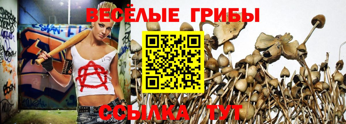 Псилоцибиновые грибы Psilocybine cubensis  Галлюциногенные грибы Cubensis  Вход с VPN  Красногорск 